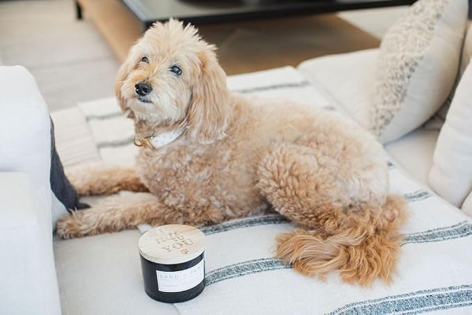 Sand + Paws Scented Candle - Teakwood - Additional Scents and Sizes –Luxurious Air Freshening Jar Candles Neutralize pet Odors and Enhance Home décor – 100% Cotton Lead-Free Wicks - 12 oz