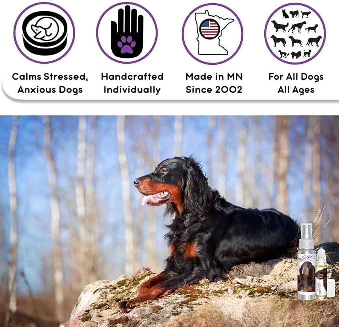 The Blissful Dog Gordon Setter Relax Dog Aromatherapy, 0.45-Ounce Roll-On
