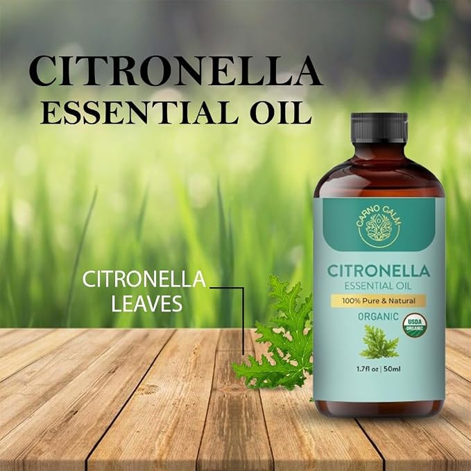 Organic Citronella Essential Oil 50 Ml | USDA Certified Organic Citronella Oil | for Diffuser | for Body and Skin | Steam Distilled | Therapeutic Grade | 1.7 fl oz