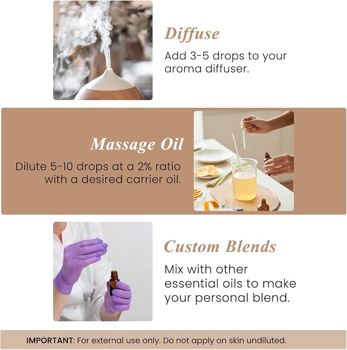 Handcraft Blends Cedarwood Essential Oil – Huge 4 Fl Oz – 100% Pure and Natural – Premium Grade