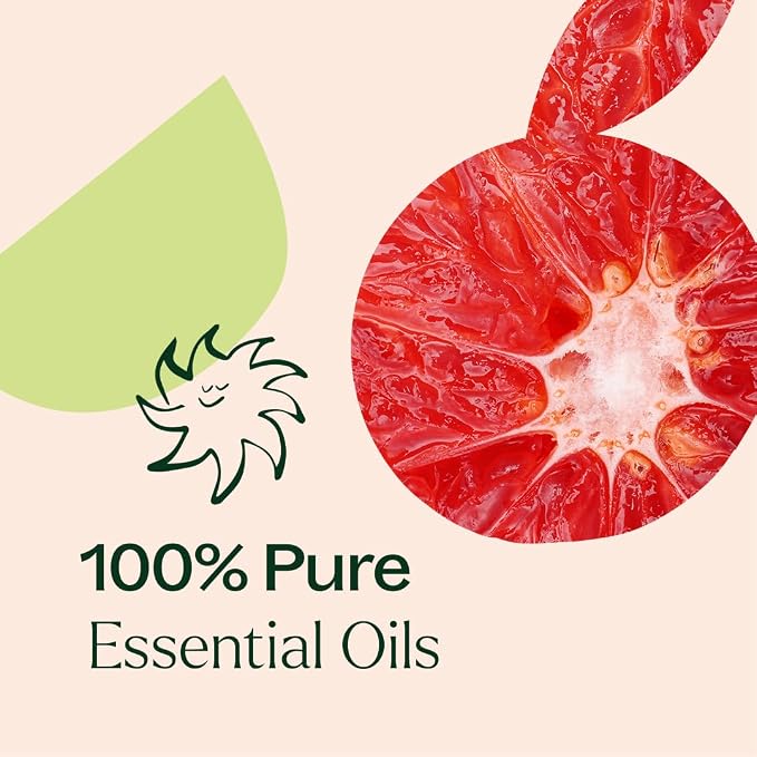 Plant Therapy Citrus Rise Essential Oil Blend 10 mL (1/3 oz) Bright, Uplifting Citrus for a Fresh Start, Perfect for Morning Motivation or Mid-Day Resets, Helps Refresh Any Space