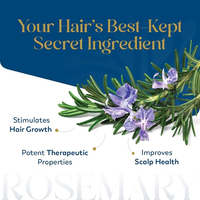 Herbsindia Rosemary Essential Oil for Hair - Huge 3.3 Fl Oz - 100% Pure - Premium Grade with Glass Dropper, Undiluted, Non-GMO