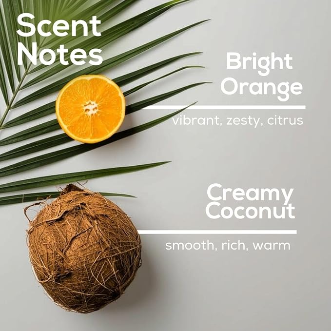 Scent Fill Island Essence Plug in Air Freshener, Scented Oil Refills, 2 Refills + Diffuser