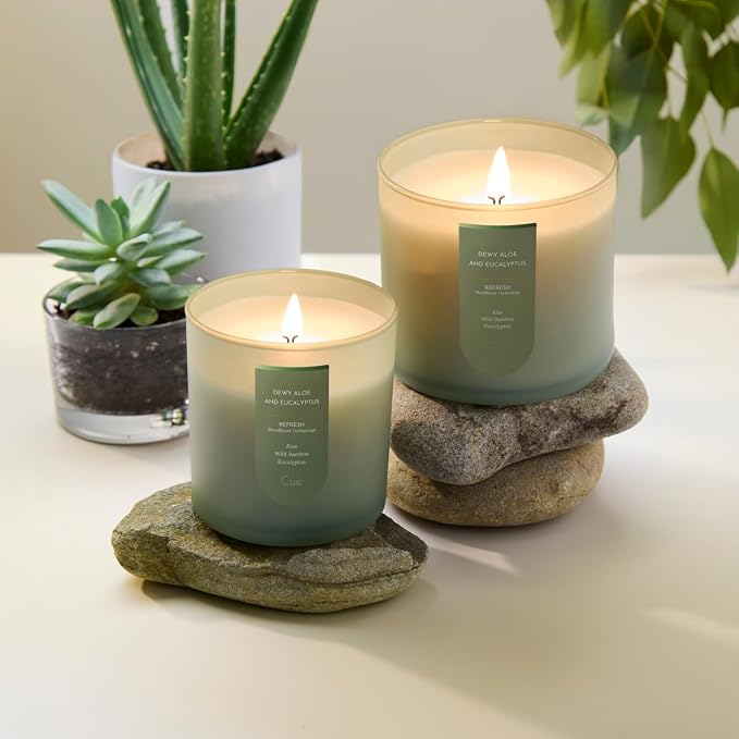 CUE Scented Candle |MoodBoost Essential Oils |OpenWick Clean Burning Candle | Soy Coconut Wax Blend | Candle for Home | Gift |Extended Burn Time (8.5oz, Dewy Aloe and Eucalyptus)