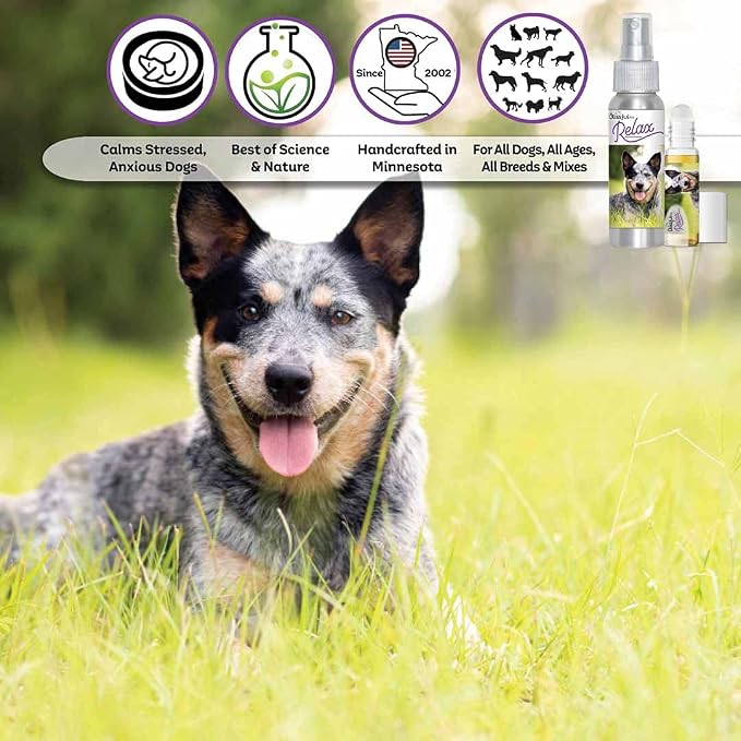 The Blissful Dog Australian Cattle Dog Relax Dog Aromatherapy Spray for Your Dog's Anxiety