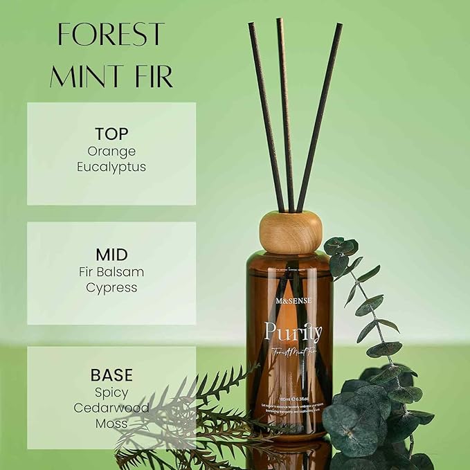 M&SENSE Reed Diffuser Set, Forest Mint Fir Scented 6.3 fl oz Natural Essential Oil Diffusers with Sticks, Non-Toxic Organic Air Freshener, Long-Lasting Fragrance Oils for Home Office Bathroom Bedroom