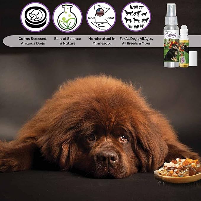 The Blissful Dog Tibetan Mastiff Relax Dog Aromatherapy Spray for Your Dog's Anxiety