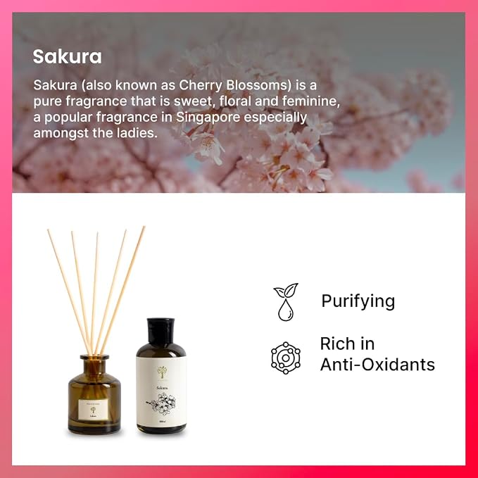 PRISTINE Sakura Diffuser Refill with Free Reed Stick | Cherry Blossom Flower Sakura Oil Diffuser & Reed Diffuser Sticks with Essential Oil Reed Diffuser Set | Home & Office | Calming Blend