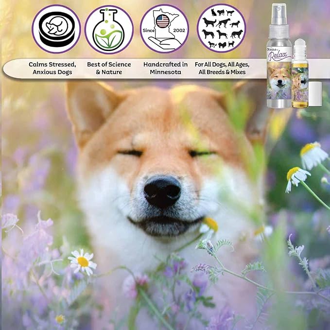 The Blissful Dog Shiba Inu Relax Dog Aromatherapy Spray for Your Dog's Anxiety