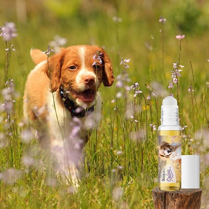 The Blissful Dog Brittany Dog Relax Roll-ON Aromatherapy for Dogs - Anxiety Relief for Dogs