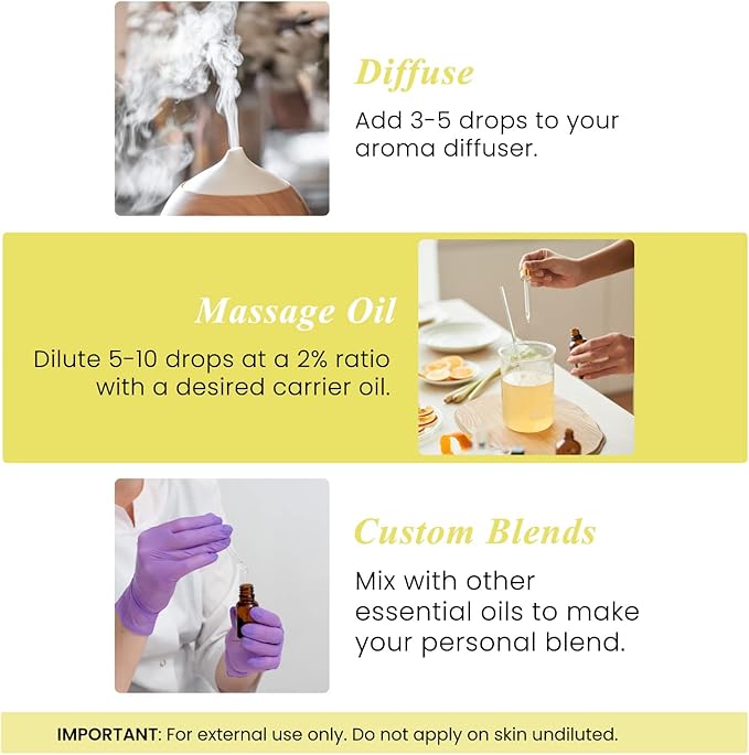 Handcraft Blends Citrus Burst Set: Lemon and Orange Essential Oils – (2 x 4 Fl Oz) – 100% Pure & Natural – for Diffuser, Aromatherapy, and DIY Projects