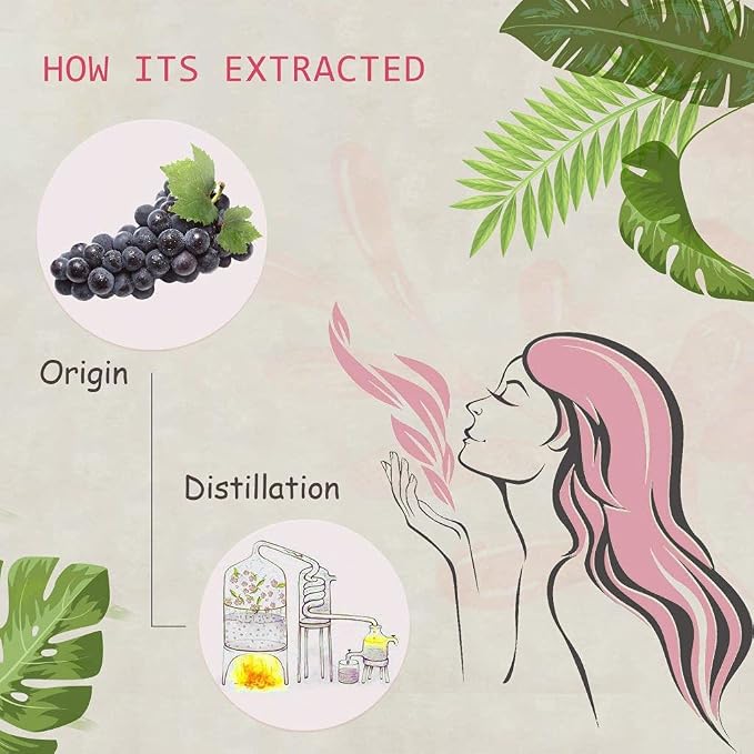 Grape Essential Oil - 100% Pure Organic Natural Plant (Vitis vinifera) Grape Oil for Diffuser, Aroma, Spa, Massage, Yoga, Perfume, 0.33oz