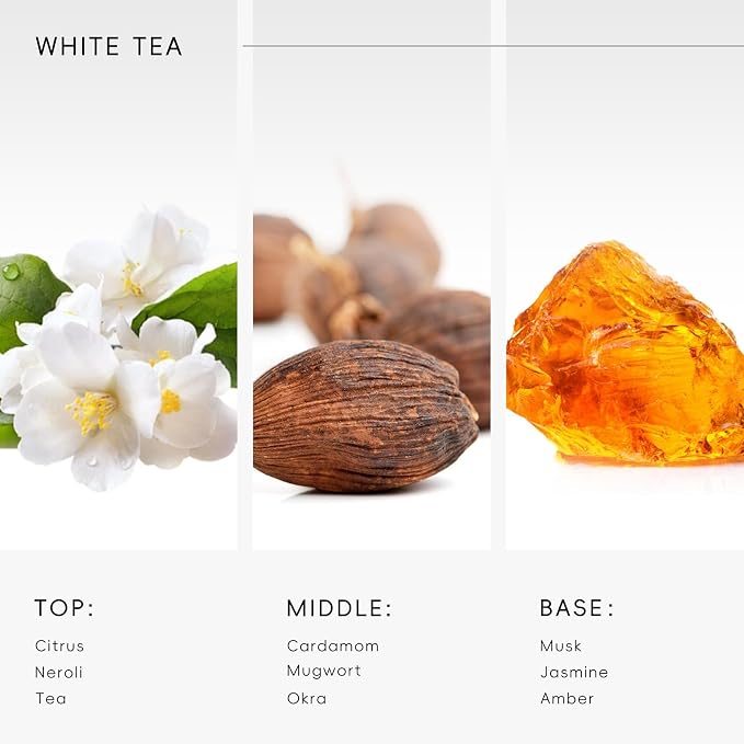 AROMASOUL Hotel Diffuser Oil Inspired by The White Tea Scent - Premium Fragrance Oil No. SA62489172 for Ultrasonic and Waterless Diffusers - 120 mL, 4 fl oz