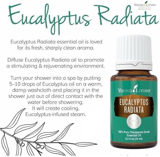 Young Living Eucalyptus Radiata Essential Oil - 15 ml - Breathe Easy with Refreshing Aroma - Ideal for Relaxing Bedtime Routine and Head, Neck, Chest Application