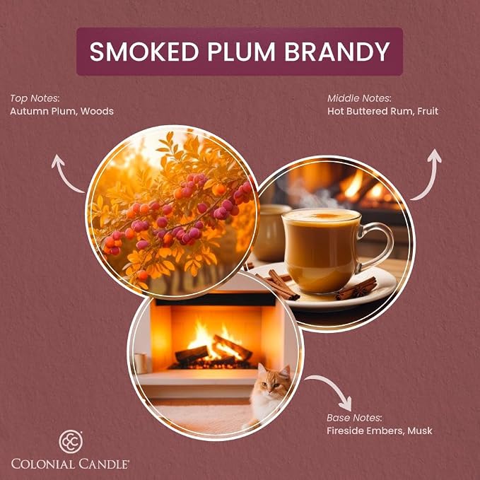 Colonial Candle Smoked Plum Brandy Jar Candle, Pop of Color Collection, 3 Wick, Purple, 14.5 oz - Up to 60 Hours Burn