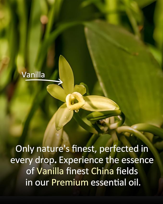 Vanilla Essential Oil 4 fl oz (120ml) – 100% Pure Natural Vanilla Bean Oil, Warm Soft Scent for Water Diffuser, Massage, Hair & Skin Care, DIY Candle & Soap Making – Large Value Bottle