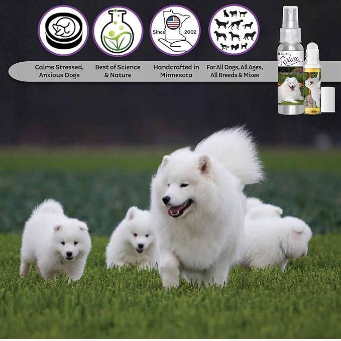 The Blissful Dog Samoyed Relax Dog Aromatherapy Spray for Your Dog's Anxiety