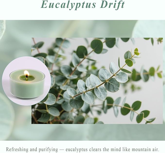 Eucalyptus Drift Scented Tea Lights Candles – Grayish Green – 6 Hour Burn – 100% Palm Wax – Scented Tealight Candles for Winter Holidays, Christmas Calm, Spa Vibes – 16 Pack Scent Votive Candle