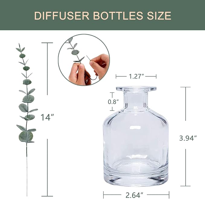 HOSSIAN Reed Diffuser Bottle-Diffuser Bottles Empty-Glass Diffuser Bottles-150ml 5 fl oz-Diffuser Jars for Home Fragrance Set of 3 (Clear)