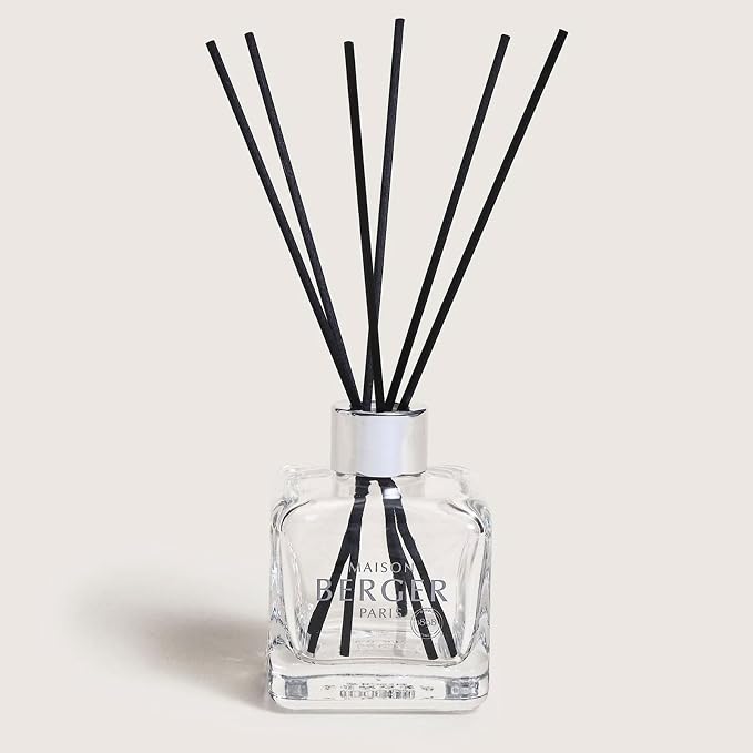 MAISON BERGER Reed Diffuser Bouquet, 100 ml, Festive Fir | Clear Glass Bottle, 8 Reed Sticks, 100 ml Refill, Up to 6-Week Passive Diffusion, No Flame, Made in France