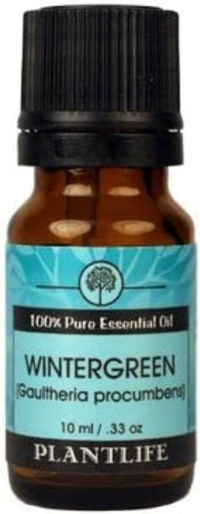 Plantlife Wintergreen Aromatherapy Essential Oil - Straight from The Plant 100% Pure Therapeutic Grade - No Additives or Fillers - 10 ml