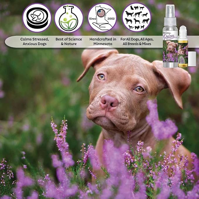 The Blissful Dog Staffordshire Pit Bull Terrier Relax Dog Aromatherapy Spray for Your Dog's Anxiety
