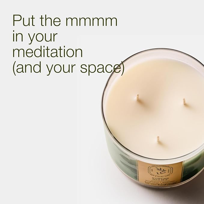 Bath & Body Works Eucalyptus Spearmint 3-Wick Candle - Scented Candle for At-Home Use - Long-Lasting, Room-Filling Fragrance - High Fragrance Oil Concentration - Soy Wax Blend - 2-Pack