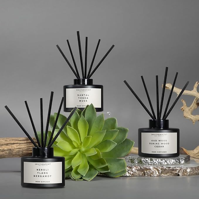 Environment Inspired by Designer Perfume DVDFF CW Reed Diffuser, 200ml Luxury Scented Aromatherapy (Sea Water | Ozone | Oakmoss) Reed Diffusers for Home, Diffusing Oil, Home Fragrance Products