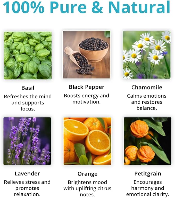 Wild Essentials Cheer The F Up Essential Oil Blend, Happy Uplifting Aromatherapy Oil for Diffusers, 100% Pure, Crafted in USA