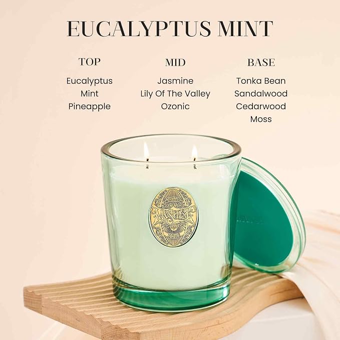 M&SENSE Two-Wick Eucalyptus Mint Candle for Relaxation | 120-Hour Burn Aromatherapy Soy Candle | Calming Stress Relief & Home Fragrance | 19.8 OZ Luxury Scent for Bedroom, Office & Gift