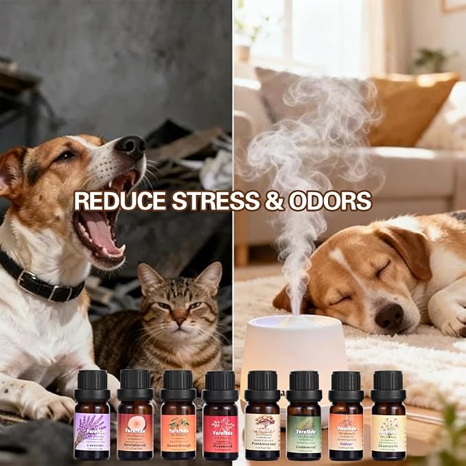 Pet Friendly Aromatherapy Essential Oils Collection,Safe for Dogs and Cats,Natural Relaxation and Stress Relief,Suitable for Aromatherapy Diffuser Bottles,Incense Sticks, and Candles Making (8, small)