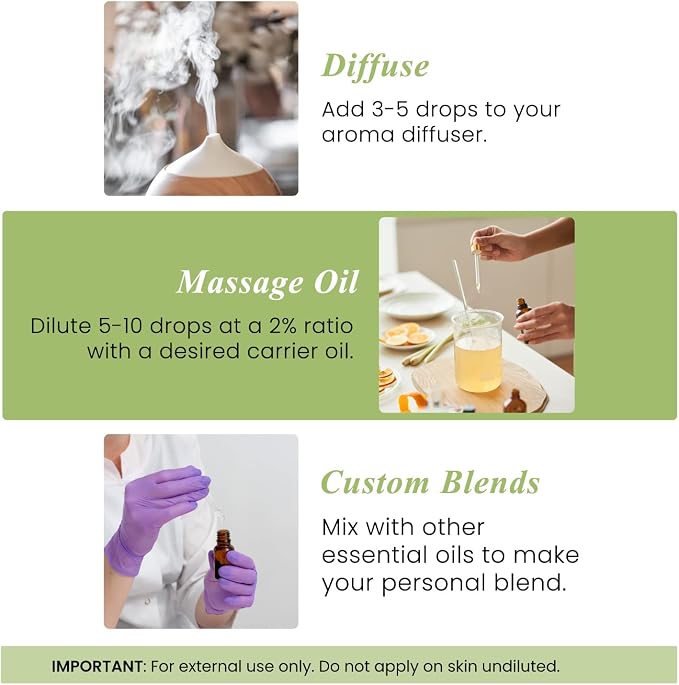 Handcraft Blends Pure & Fresh Set: Peppermint and Tea Tree Essential Oils – (2 x 4 Fl Oz) – 100% Pure & Natural – for Diffuser, Aromatherapy, and DIY Projects