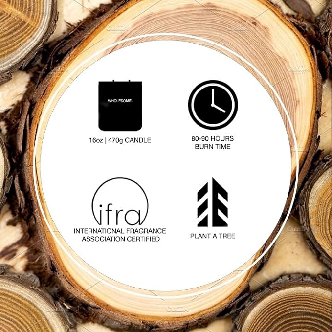 WHOLESOME. Warm Woods Scented Non-Toxic Candles for Home, 2 Wicks Natural Coconut Wax Candle Eco-Friendly, Luxury Aromatherapy Candles Stress Relief, 16 oz Large Concrete Jar, 90 Hours Burn