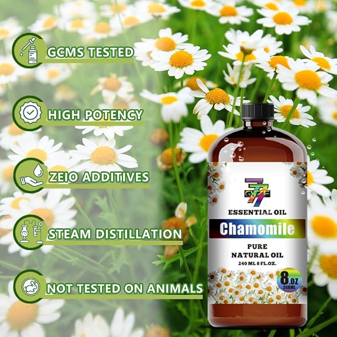 Chamomile Essential Oil, Chamomile Oils, for Diffuser, Sleep, Humidifier, DIY Candles, Soap, Yoga, Gift, Essential Oil, GV77ZF Chamomile Fragrance Oil - 8 fl oz (240 ml)