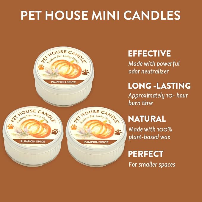 Pet House Mini Candles for Pet Odor Made with Natural Soy Wax, Plant Based, Dog and Cat Friendly Scented Candles, Pumpkin Spice Pack of 3