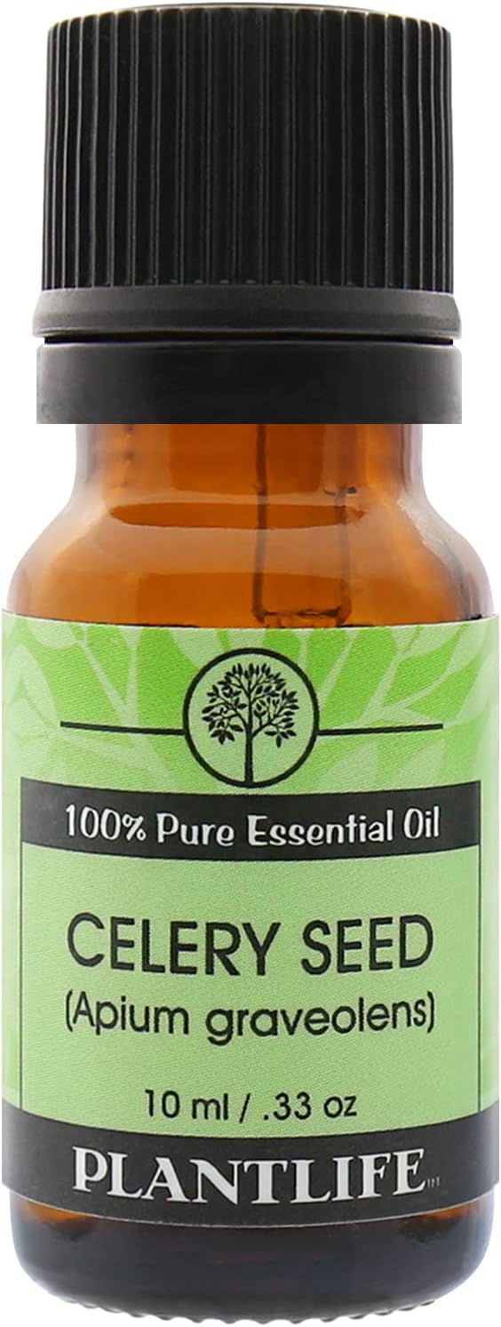 Plantlife Celery Aromatherapy Essential Oil - Straight from The Plant 100% Pure Therapeutic Grade - No Additives or Fillers - 10 ml