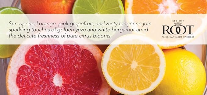 Root Candles Scented Candles Honeycomb Beeswax Blend Premium Handcrafted Candle, Large Veriglass, Citron & Bergamot