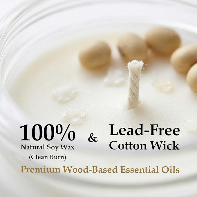 Wild Breath Woody Scented Candle 9oz Soy Wax Frosted Glass Jar for Home Decor - Scent Hunter Scented Card Included - Ideal Gift for Self-Care & Relaxation for Men & Women Gift