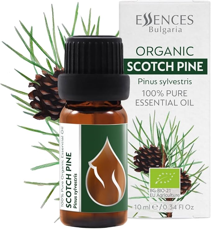 Organic Scotch Pine Essential Oil 1/3 Fl Oz (10ml) Pinus Sylvestris - 100% Pure Natural and Undiluted Therapeutic Grade for Aromatherapy Diffuser Humidifier Skin Care DIY Cosmetics