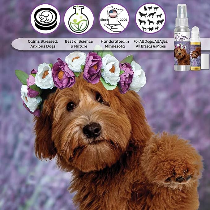 The Blissful Dog Labradoodle Relax Dog Aromatherapy Spray for Your Dog's Anxiety