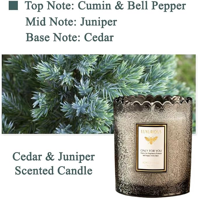 Cedar & Juniper Scented Candle, Candles for Home Scented, Luxury Candles for Women, Aromatherapy Candles, Natural Soy Wax Candles, 7 oz 40 Hours
