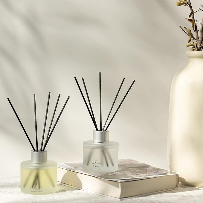Brakula Eucalyptus & Mint Reed Diffuser Set, Home Fragrance Oil Diffuser with 8 Sticks for Room Decor, 3.4 oz/100 ml