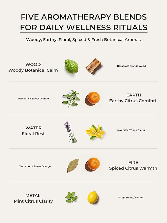 Essential Oil Roll On Gift Set, 5 Bestselling Botanical Blends for Stress Relief, Sleep & Focus, Premium Aromatherapy Wellness Collection, 5 x 15ml