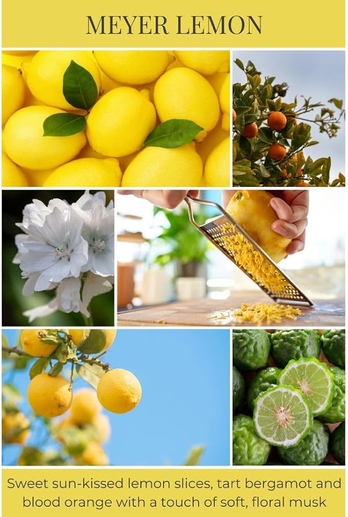 Eco Candle Co. Tea Light Candles, Meyer Lemon, 10-Pack - Scents of Lemon, Bergamot, Orange - Recyclable, 100% Soy Wax, No Lead, Hand Poured, Midwest Soybeans, .6 oz. Each