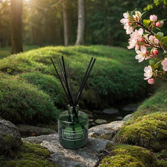 Bellevue Diffuser, 6 fl oz Glass Filled Diffuser, Highly Concentrated Fragrances with Essential Oils, Home Fragrance, Scent: Island Citrus