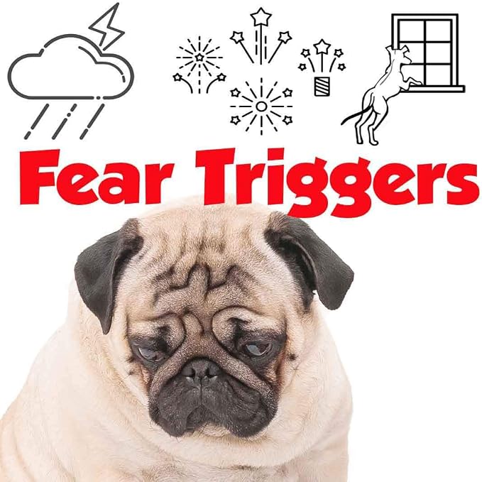 The Blissful Dog Pug Relax Dog Aromatherapy Spray for Your Dog's Anxiety