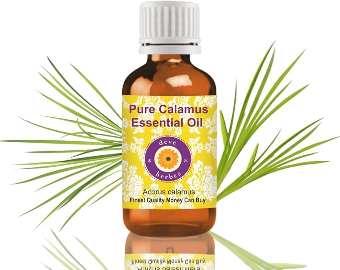 dève herbes Calamus Essential Oil (Acorus Calamus) Pure | Non-Sticky | Non-Greasy | Lightweight | Men & Women | All Skin Types | Steam Distilled 100ml (3.38 oz)