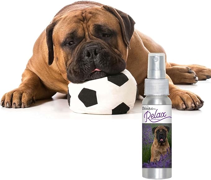 The Blissful Dog Bullmastiff Relax Dog Aromatherapy Spray for Your Dog's Anxiety