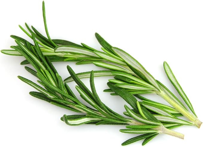 US Organic 100% Pure Rosemary Essential Oil, USDA Certified Organic 100% Pure, Steam Distilled, for Hair Growth, Scalp, Face, Skin, and Aromatherapy (Size Variations Available) (15 ml)