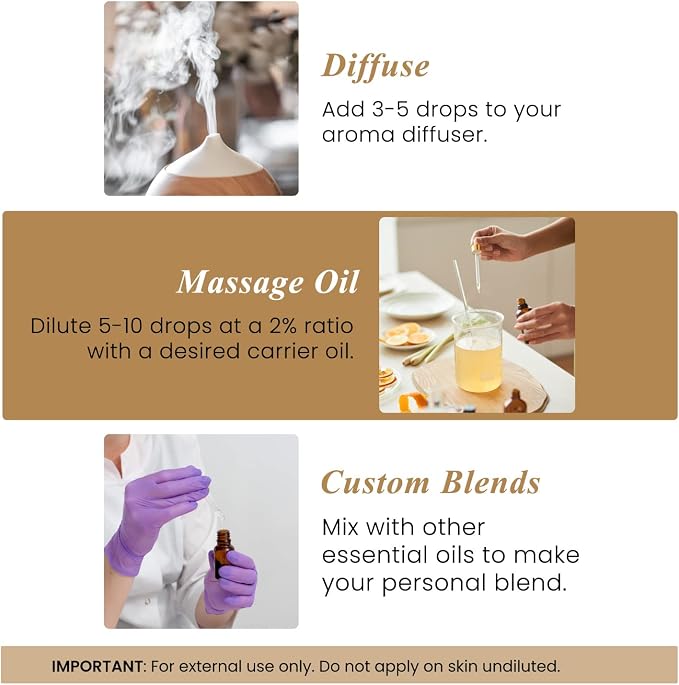 Handcraft Blends Ground & Center Set: Frankincense and Cedarwood Essential Oils – (2 x 4 Fl Oz) – 100% Pure & Natural – for Diffuser, Aromatherapy, and DIY Projects